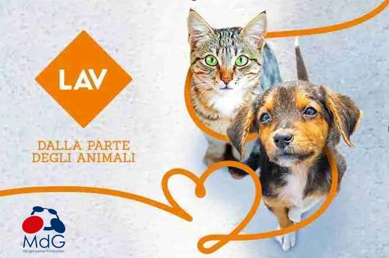 In 2025, X-Tech’s subsidiary, MdG Srl, made a financial contribution to support the local initiatives of LAV Italy. This concrete support for animal welfare on a national level reflects our commitment to improving living conditions for animals. This partnership serves as a foundational ethical step for X-Tech’s upcoming roadmap: the Omnia Project (2026). By investing in established welfare standards today, we are paving the way for the launch of our proprietary system dedicated to the advanced health monitoring of pets during transport. 